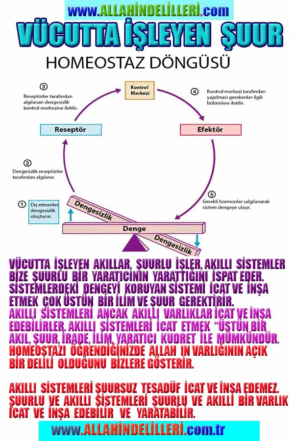 allahin-delilleri, allahin delilleri, allah delilleri, allahin varliginin delilleri, allah